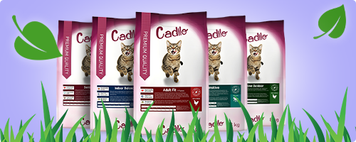 Cadilo Premium kattenvoer